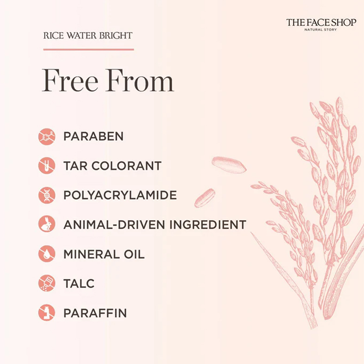 THE FACE SHOP RICE WATER BRIGH - High Luxury Skincare avaliação e preço